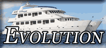 Evolution button